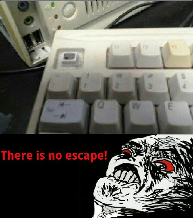 There Is No Escape!   Meme By Wallace :) Memedroid