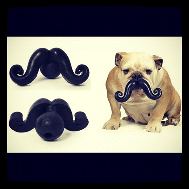 ruff sir ruff Meme by Oviedoanna ) Memedroid