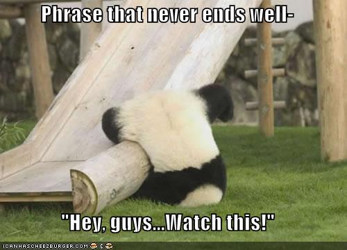 panda - Meme by D_Grish13 :) Memedroid