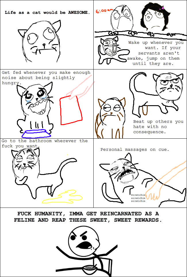 Is it weird that I'm jealous of my cat's sweet life? ) Memedroid