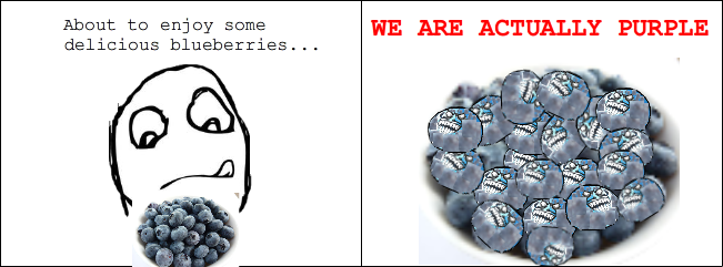 Blueberries :) Memedroid