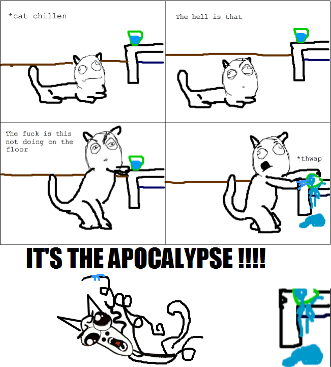 Cat logic - meme
