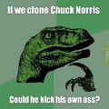 chuck Norris clone