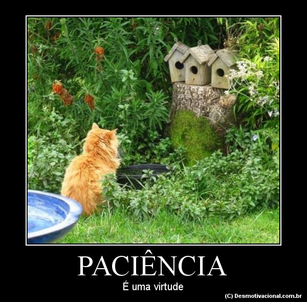 Paciencia 2 - Meme by Joaojmr26 :) Memedroid