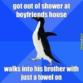 awkward penguin