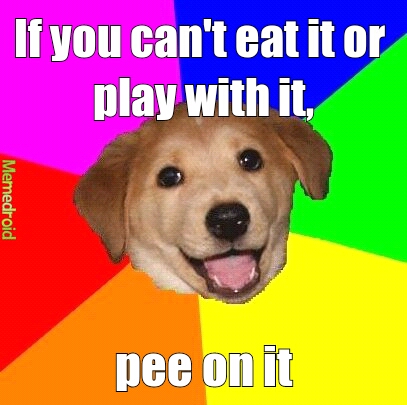 Advice Dog - meme