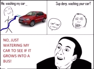 NO JUST WATERING MY CAR - meme