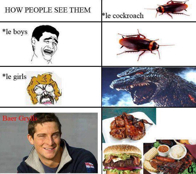 Ber grylls,awesome,edman,meme,memes,gifs,funny,pictures,pics,gif,comic.