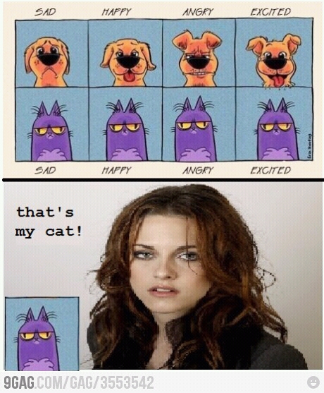 Кэт стюарт. Кристен Стюарт Покер фейс. Стюарт Мем. Kristen Stewart with Cat.