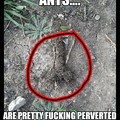 Perverted ant hill