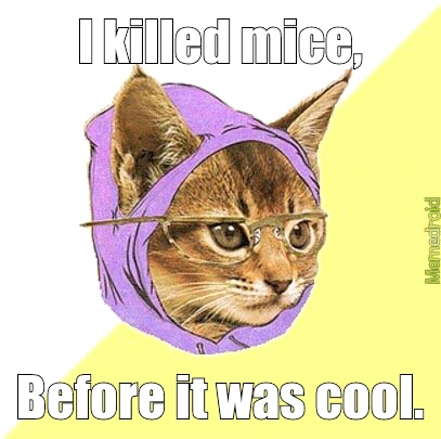Boss cat says meow - meme