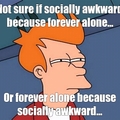 fry on sociality