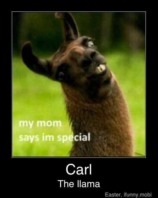 Special Carl - meme