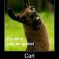 Special Carl