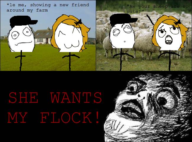 My flock! - meme