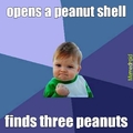 peanut shell