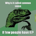 Philosiraptor on common sense