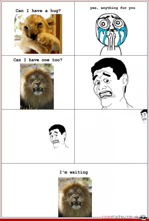lion - meme