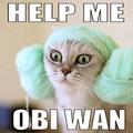 help me obi wan