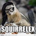 squirrelex