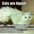 Cats= liquid