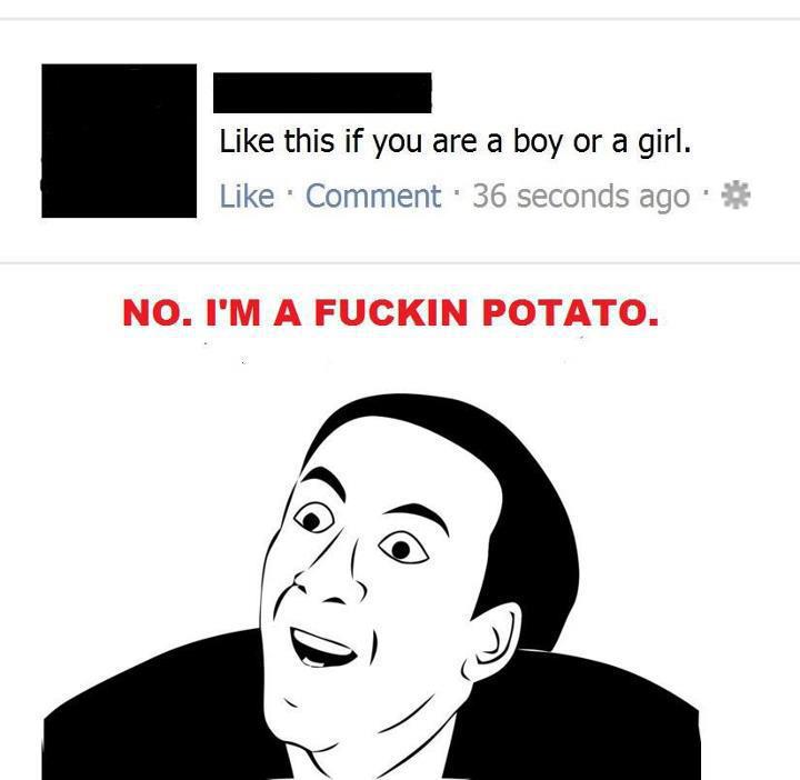 No, I'm A Fuckin' Potato! - meme
