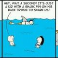 Sharks are Smarts