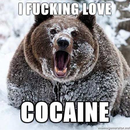 Coke bear - meme