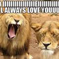 singing lion