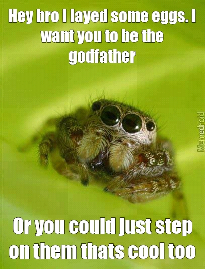 Spider Bro - meme