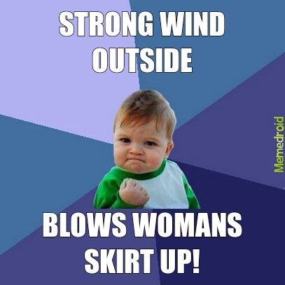 windy - meme