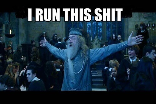 Dumbledore - meme