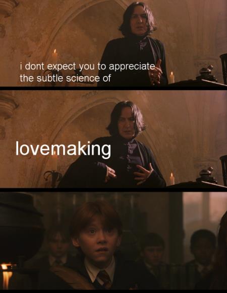 lovemaking - meme