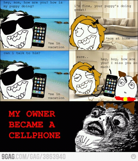My owner became cellphone! - meme