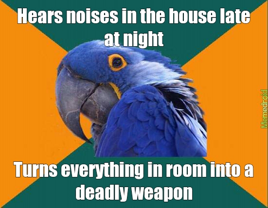 paranoid parrot noise - meme