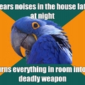 paranoid parrot noise