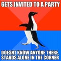 Socially awesome awkward penguin