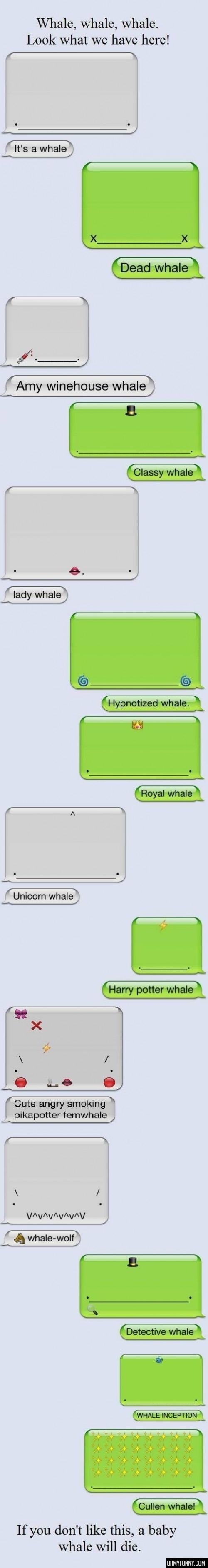 Whales, whales everywhere - meme
