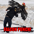 FALCON PUNCH!!!