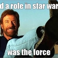 a fear of chuck norris is caled logic