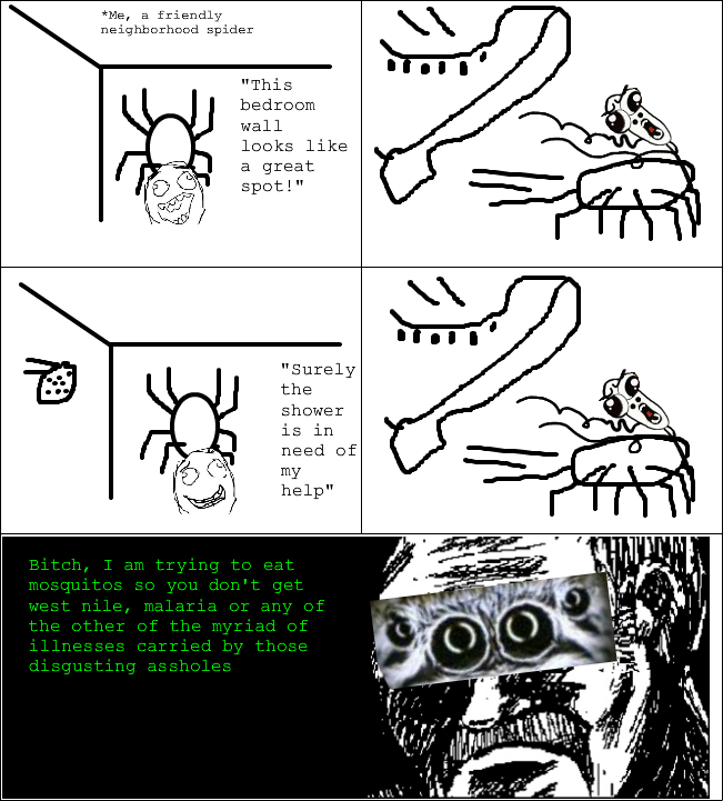spider rage - meme