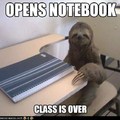 First World Sloth Problems
