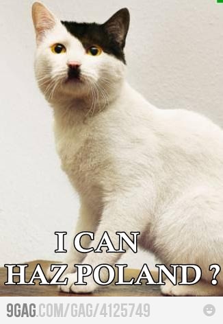Hitler cat - meme