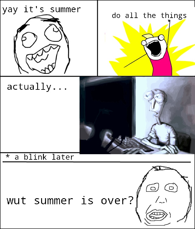 summer expectation - meme