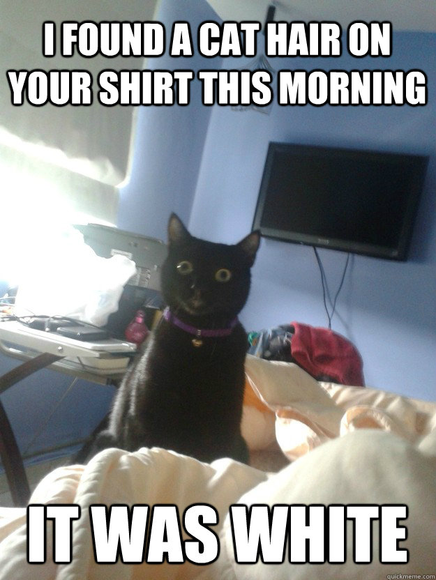 Overly attached kitteh - meme