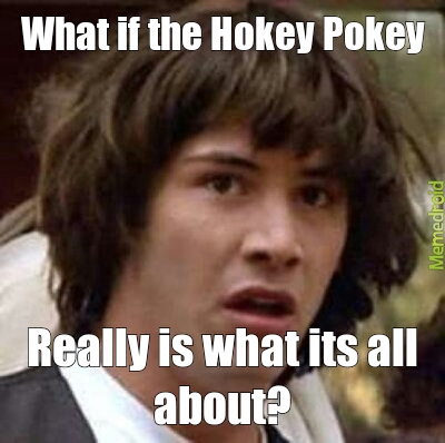 hokey pokey - meme