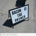 Bacon is always the answer!