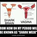 My Period = Shark Week