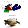 Me Turtlesta