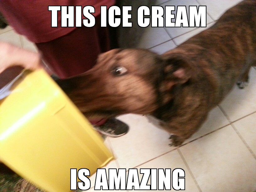 amazing ice cream - meme